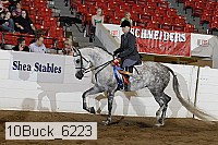 10buck_6223 thumbnail