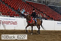 10buck_6227 thumbnail