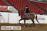10buck_6228 thumbnail