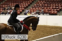 10buck_6230 thumbnail