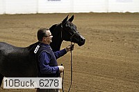 10buck_6278 thumbnail