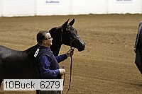 10buck_6279 thumbnail