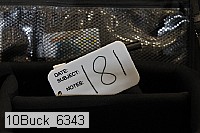 10buck_6343 thumbnail