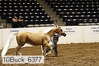 10buck_6377 thumbnail
