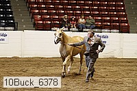 10buck_6378 thumbnail