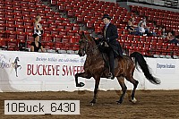 10buck_6430 thumbnail