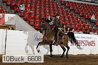 10buck_6608 thumbnail