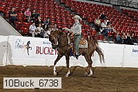 10buck_6738 thumbnail