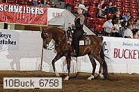 10buck_6758 thumbnail