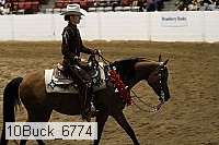 10buck_6774 thumbnail