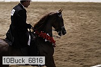 10buck_6816 thumbnail