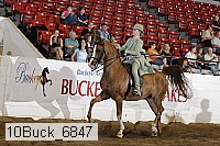 10buck_6847 thumbnail