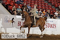 10buck_6852 thumbnail