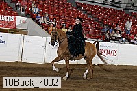 10buck_7002 thumbnail