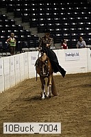 10buck_7004 thumbnail