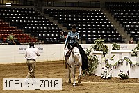 10buck_7016 thumbnail