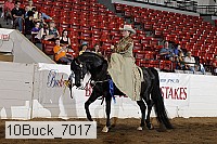 10buck_7017 thumbnail