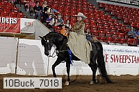 10buck_7018 thumbnail