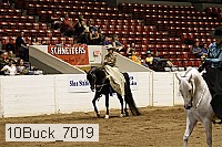 10buck_7019 thumbnail