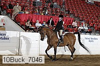 10buck_7046 thumbnail