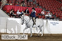 10buck_7047 thumbnail