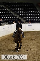 10buck_7054 thumbnail