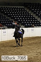 10buck_7065 thumbnail