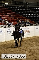 10buck_7066 thumbnail