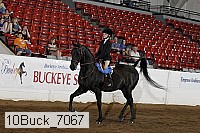 10buck_7067 thumbnail