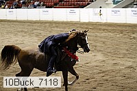 10buck_7118 thumbnail