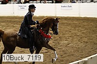 10buck_7119 thumbnail