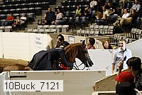 10buck_7121 thumbnail