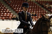 10buck_7173 thumbnail