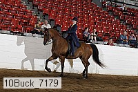 10buck_7179 thumbnail