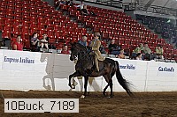 10buck_7189 thumbnail