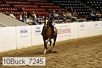 10buck_7245 thumbnail