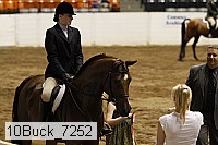 10buck_7252 thumbnail