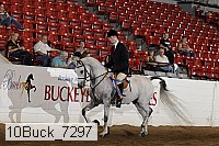 10buck_7297 thumbnail