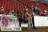 10buck_7388 thumbnail