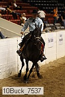 10buck_7537 thumbnail