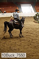 10buck_7550 thumbnail