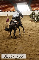 10buck_7551 thumbnail