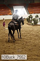 10buck_7552 thumbnail