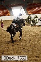 10buck_7553 thumbnail