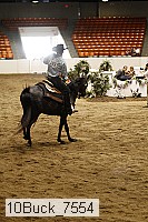 10buck_7554 thumbnail