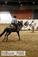 10buck_7555 thumbnail