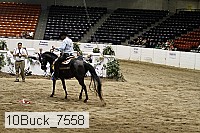 10buck_7558 thumbnail