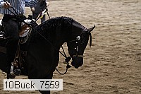 10buck_7559 thumbnail