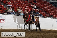 10buck_7561 thumbnail