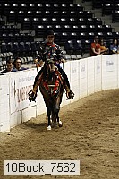 10buck_7562 thumbnail